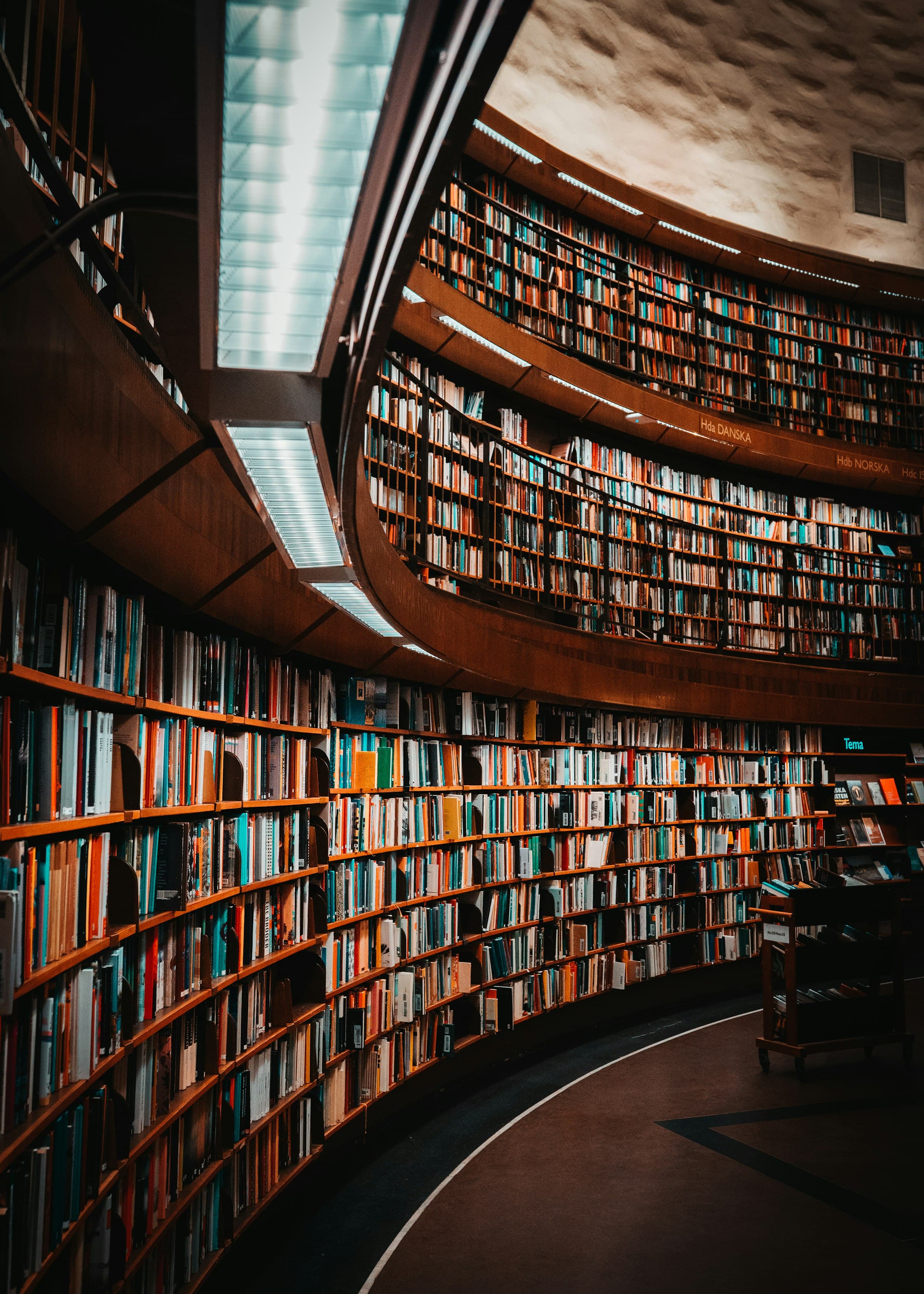 Interior de una biblioteca jurídica de estanterías curvas